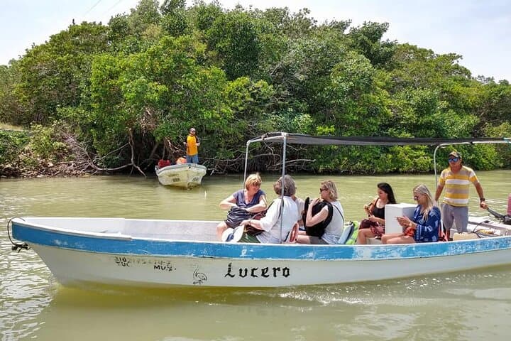 Las Coloradas Pink Lakes & Rio Lagartos Boat Tour from Cancun photo 5