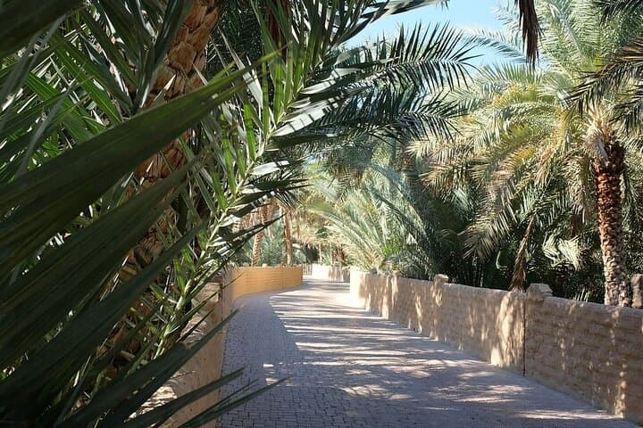 Discover Al Ain: Full-Day Semi-Private Cultural Tour from Dubai with Lunch photo 1