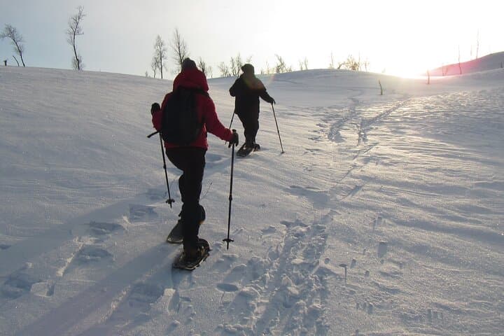 Snowshoeing in Bodø: Arctic Winter Day Trip & Northern Lights Hikes photo 6