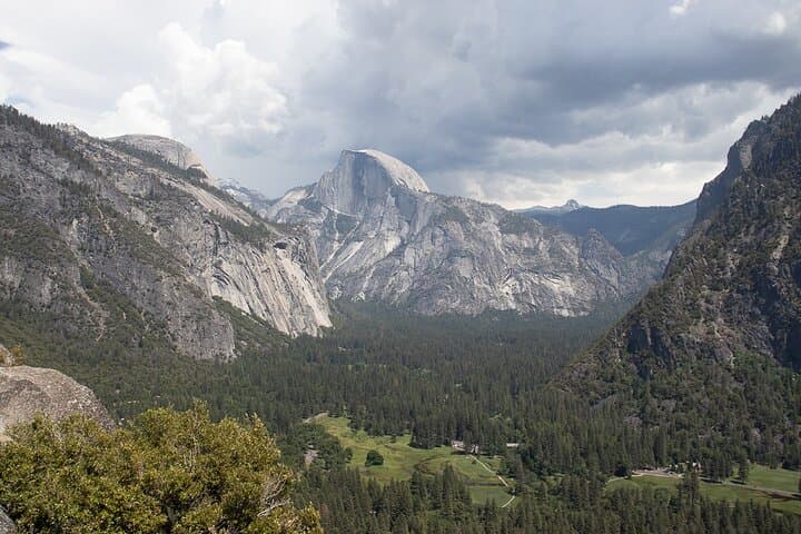 Private Giant Sequoia Grove Hike — Tuolumne & Merced Groves, Yosemite photo 5