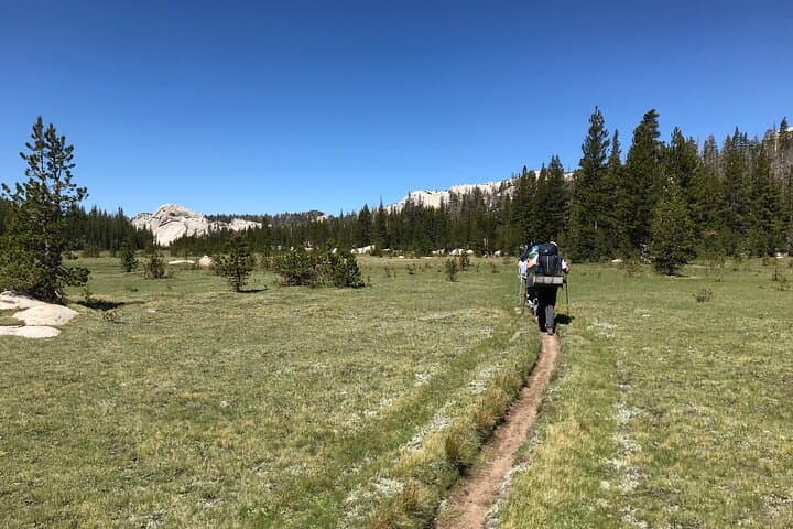 Tuolumne Meadows Private Hiking Tour: Lembert Dome, Dog Lake & Soda Springs photo 6