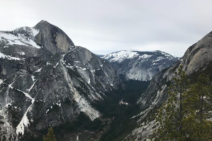 Private Giant Sequoia Grove Hike & Snowshoe in Yosemite — Tuolumne and Merced Groves photo 3