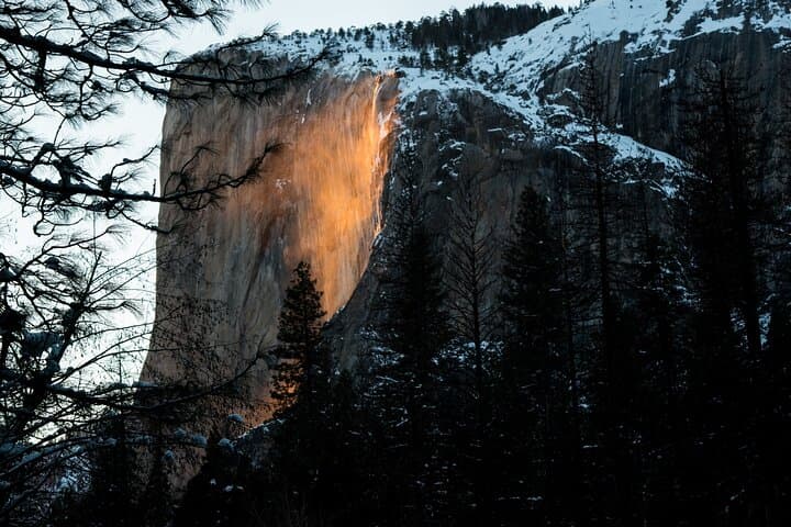 Private Giant Sequoia Grove Hike & Snowshoe in Yosemite — Tuolumne and Merced Groves photo 4