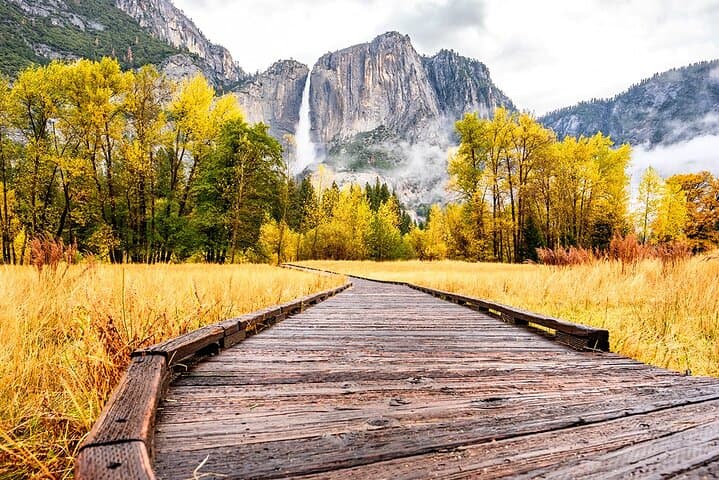 Private Giant Sequoia Grove Hike & Snowshoe in Yosemite — Tuolumne and Merced Groves photo 5