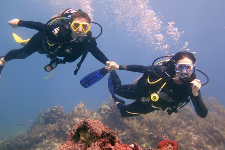 Try Dive at Cancun's Underwater Museum (MUSA) — Beginner Scuba Experience photo 6