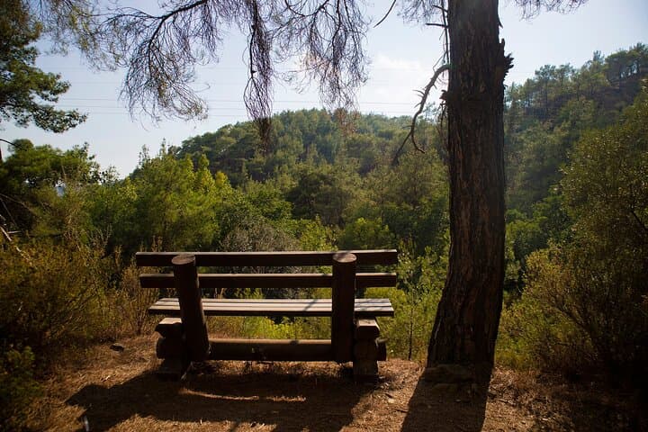 Troodos Mountains Full-Day: Villages, Waterfalls & Wine Tasting photo 2