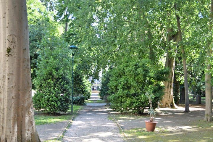 Secret Gardens of Venice: Off-the-Beaten-Path Walking Tour photo 4