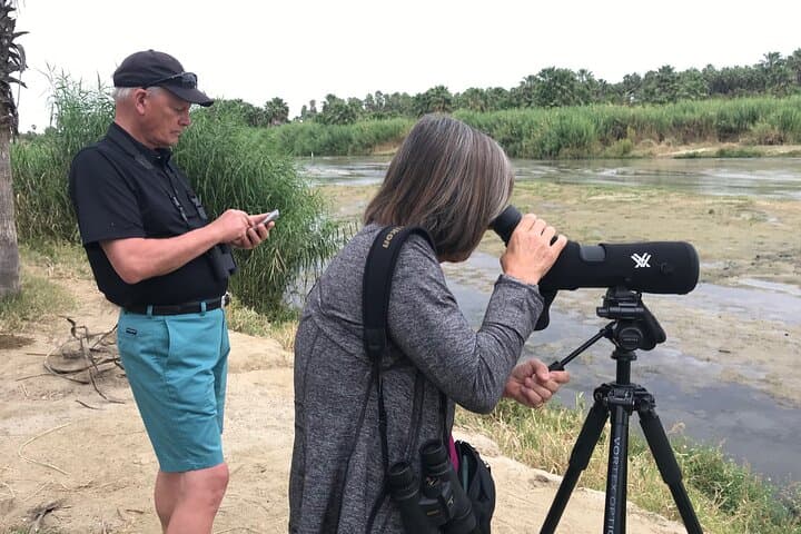 Birding San Jose Estuary: Endemics & Bay Boat Tour in Los Cabos