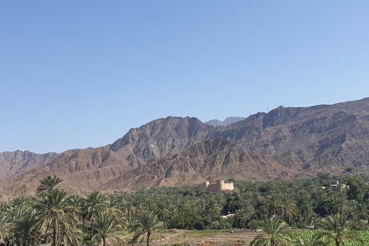 Fujairah Day Trip from Dubai: Forts, Mosques & Friday Market