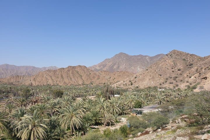 Fujairah Day Trip from Dubai: Forts, Mosques & Friday Market photo 3