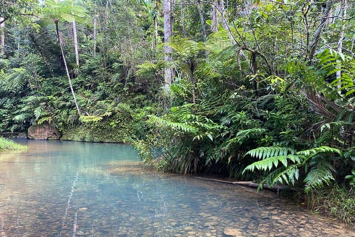 Guavate Rain Forest & Hot Springs: Private Full-Day Tour from San Juan