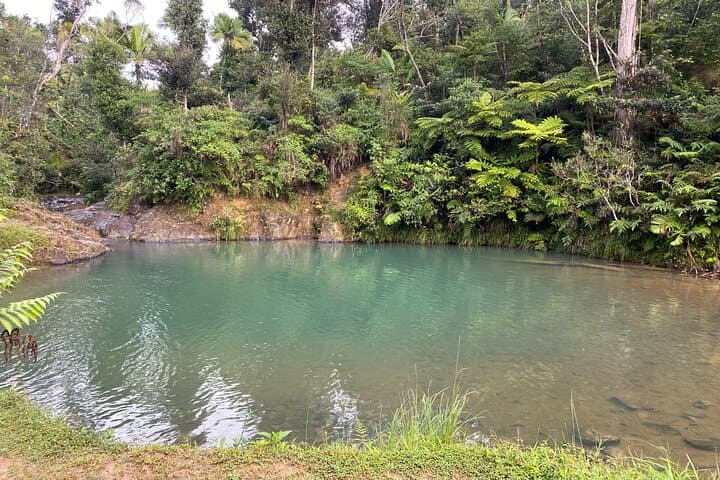 Guavate Rain Forest & Hot Springs: Private Full-Day Tour from San Juan photo 3