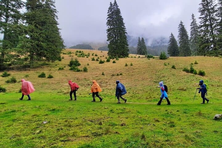 Hike Pestera and Magura: Full-Day Villages Walk from Brasov