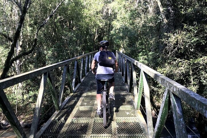 Bike the Trails Beyond Iguazu Falls: Guided Atlantic Forest Circuit photo 5