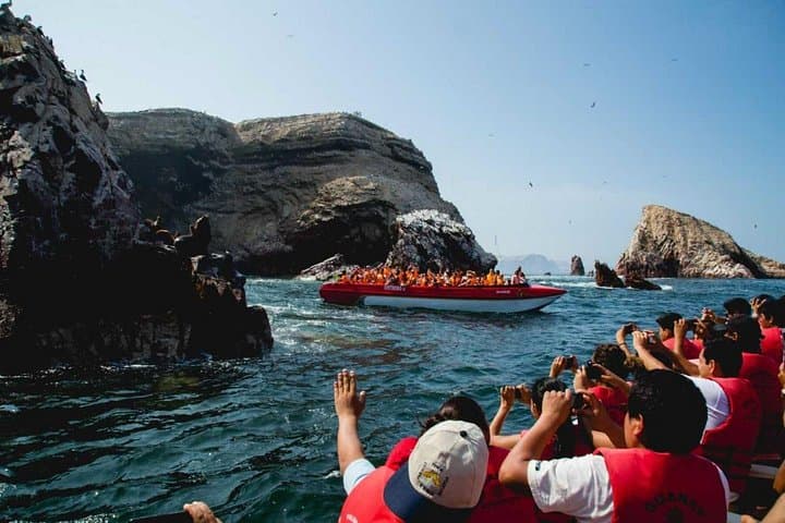 Ballestas Islands and Paracas National Reserve Day Trip from Ica photo 2