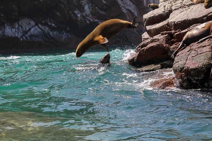 Ballestas Islands and Paracas National Reserve Day Trip from Ica photo 3