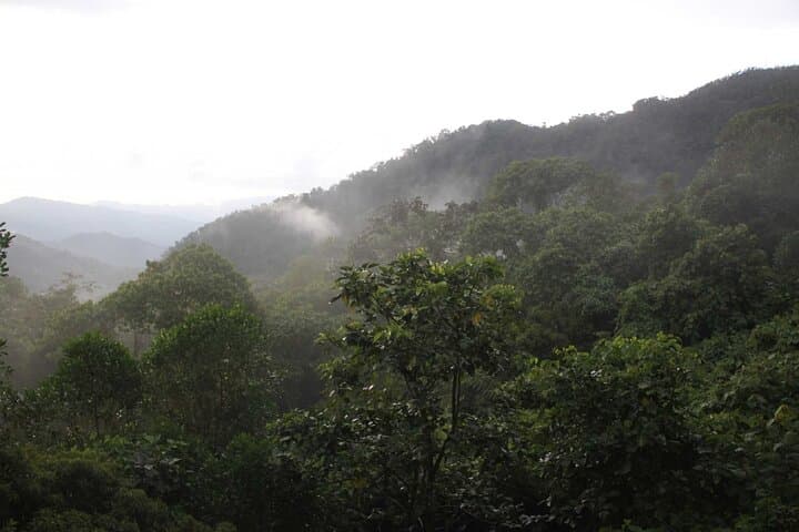 Full-Day Minca Coffee, Cocoa & Waterfalls Tour from Santa Marta photo 2