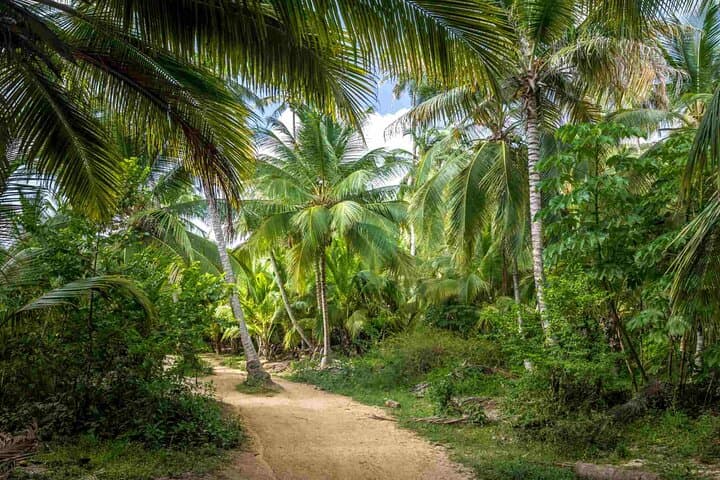 Sierra Nevada Escape: 4-Day Santa Marta, Tayrona & Minca Adventure photo 5