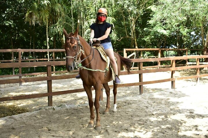 Mayan Jungle Half-Day: Horseback, ATV, Zipline & Cenote Swim photo 6