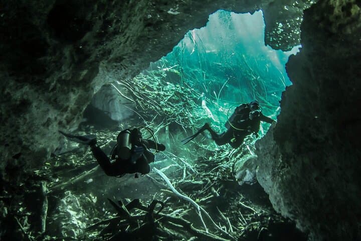 Mini Cenotes Dive Excursion from Playa del Carmen — Cavern Scuba in the Riviera Maya photo 3