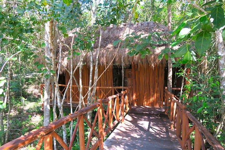 Full-Day Tulum Ruins and Cenotes Tour with Lunch — Snorkel Ancient Sinkholes photo 4