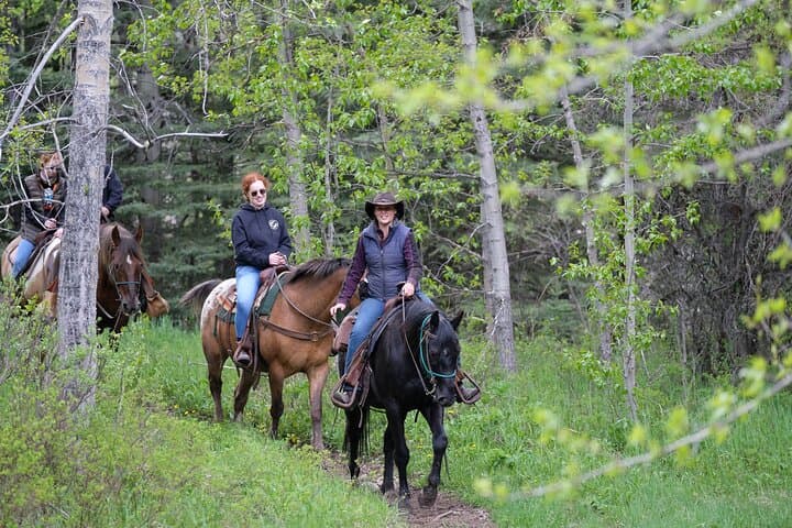 Buffalo Loop 1-Hour Horseback Ride in Kananaskis — Boundary Ranch Experience photo 2