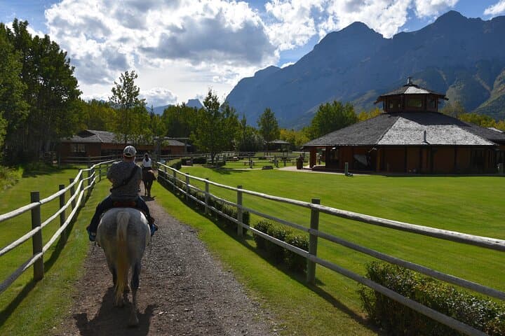Buffalo Loop 1-Hour Horseback Ride in Kananaskis — Boundary Ranch Experience photo 6