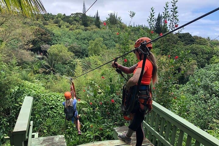 Maui Zipline Eco Adventure: 8 Lines Through the Jungle on Hana Highway photo 3