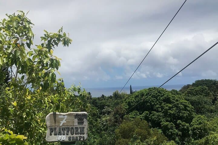 Maui Zipline Eco Adventure: 8 Lines Through the Jungle on Hana Highway photo 6