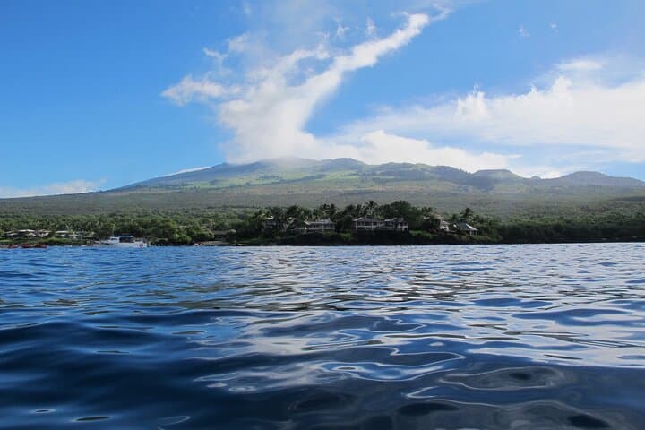 Makena 4-Hour Whale Watch & Kayak Snorkel — Paddle with Turtles and Humpbacks photo 3
