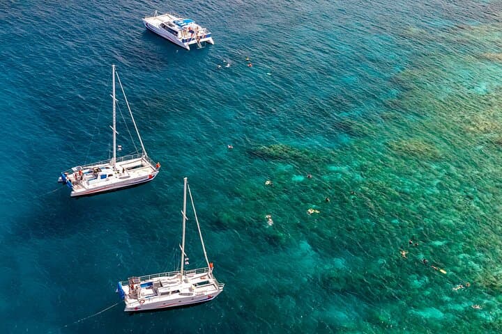 Explore Kohala Coast: Big Island Snorkel Cruise Adventure from Waikoloa photo 5