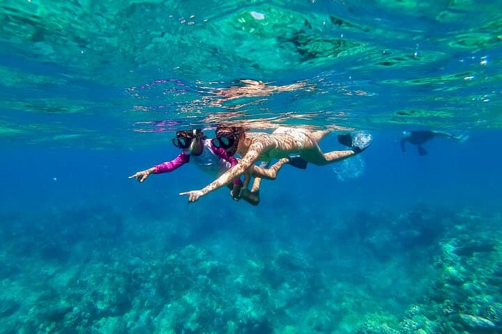 Explore Kohala Coast: Big Island Snorkel Cruise Adventure from Waikoloa
