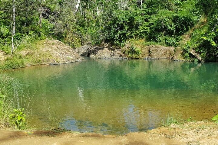 Guavate Rain Forest & Hot Springs: Private Full-Day Tour from San Juan photo 4