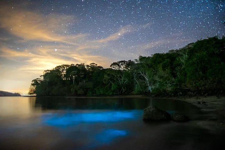 Night Kayaking the Bioluminescent Bays of Nicoya Peninsula photo 2
