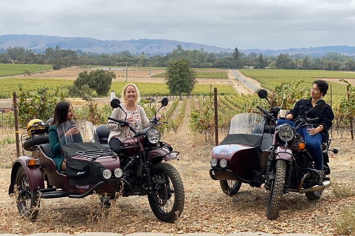 Sonoma Sidecar Wine Tour: 3-Winery Tasting with Gourmet Picnic
