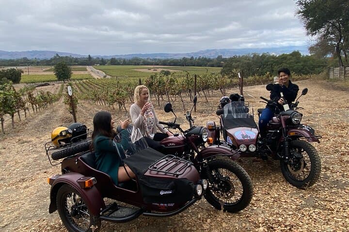 Sonoma Sidecar Wine Tour: 3-Winery Tasting with Gourmet Picnic photo 5