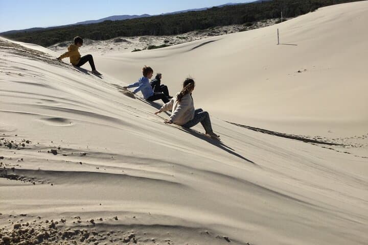 Explore Stockton Sand Dunes: 4WD Adventure in Port Stephens photo 3