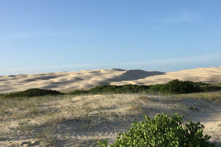 Explore Stockton Sand Dunes: 4WD Adventure in Port Stephens photo 5