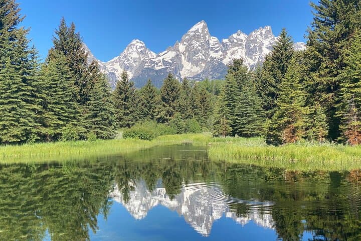 Private Full-Day Grand Teton Tour: Iconic Vistas, Wildlife & Picnic Lunch