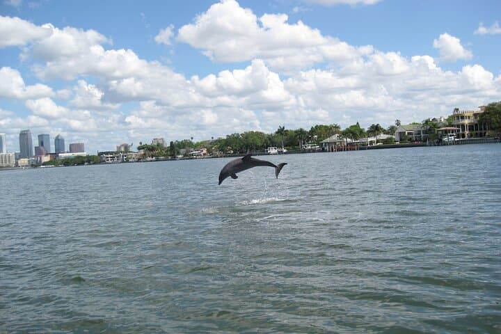 Private Tampa Bay Charter — Custom Boat Cruise with Captain photo 5