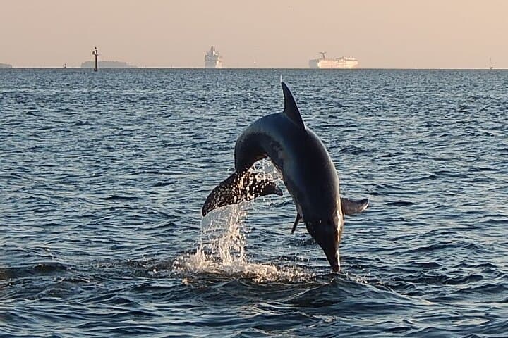 Private Tampa Bay Charter — Custom Boat Cruise with Captain photo 6