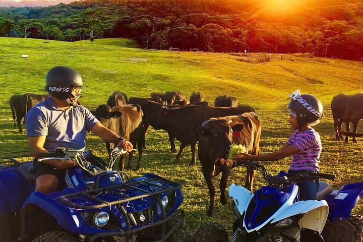 Kuranda Half-Day ATV & Petting Zoo: Quad Rides, Rainforest Market and Wildlife Encounters photo 3