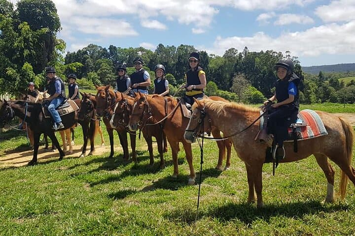 Kuranda Half-Day Horse Ride & Petting Zoo — Rainforest Trails from Cairns photo 4