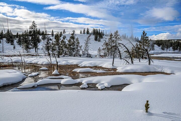 Yellowstone, Grand Teton & Utah Mighty 5 Winter Small-Group 9-Day Tour photo 6