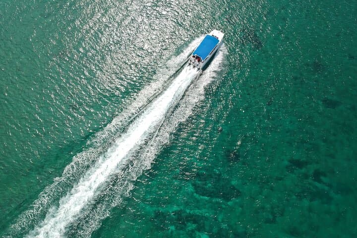Sail to Saona Island: Full-Day Catamaran & Speedboat Excursion from Bayahibe photo 2