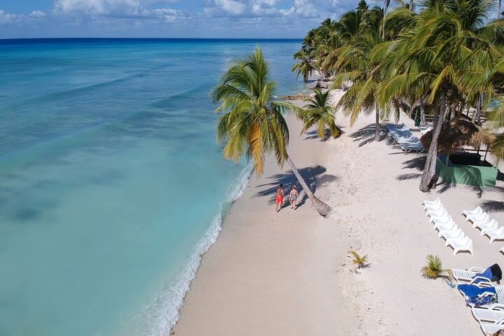 Sail to Saona Island: Full-Day Catamaran & Speedboat Excursion from Bayahibe photo 6