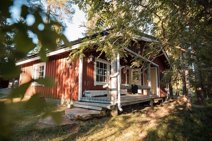 Private Lappish Evening: Wilderness Sauna, Ice Dip & Traditional Salmon Dinner photo 5