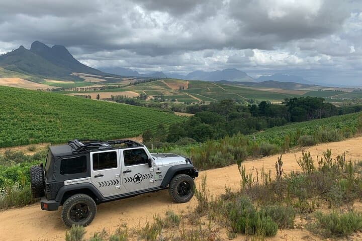 Full-Day Stellenbosch Wine Tour: Private Jeep Tastings, Oak-Tree Picnic & Valley Views