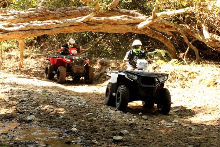 Rugged Jungle ATV Tour to El Mirador in Sierra de Vallejo photo 3