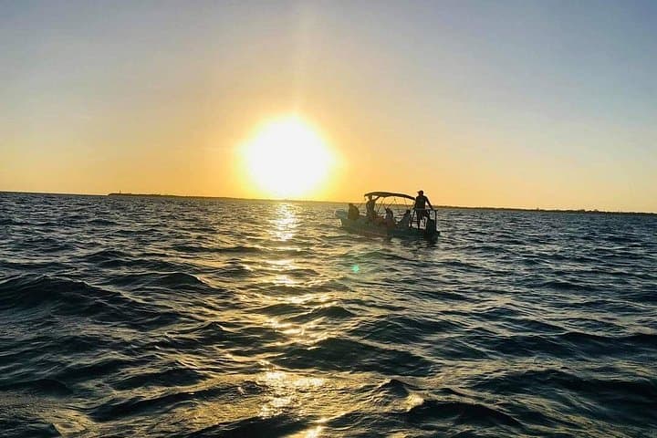 Full-Day Sian Ka'an Biosphere Boat Tour from Tulum — Snorkel, Dolphins & Beach Lunch photo 4